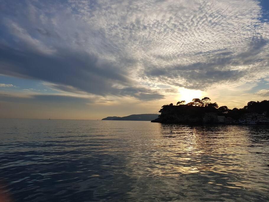Villa Contemporaine F5 Cote Azur Ollioules Calme Exterior foto