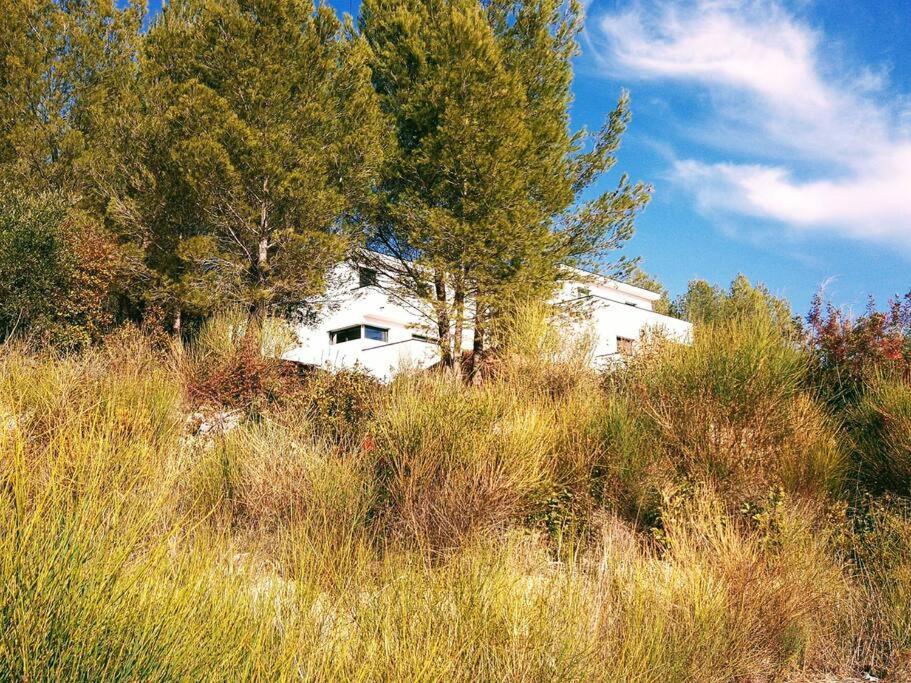 Villa Contemporaine F5 Cote Azur Ollioules Calme Exterior foto
